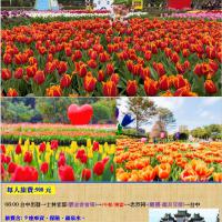 2026士林官邸~鬱金香展  一日遊 九人座  (彰化/台中出發)
