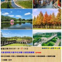 大溪-落羽松大道/中庄吊橋~大溪老街風情 一日遊